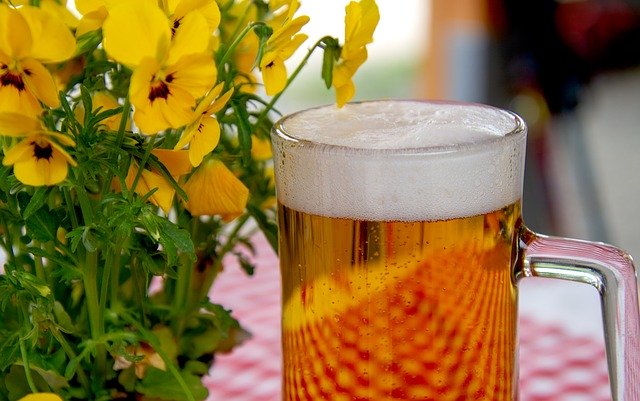 Photo by 5598375 Five Good Reasons to Go for Beer