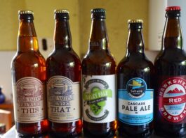 Historic Journey of Beer