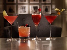 Bitters in Cocktail at Home Bar