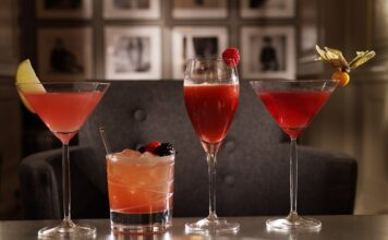 Bitters in Cocktail at Home Bar