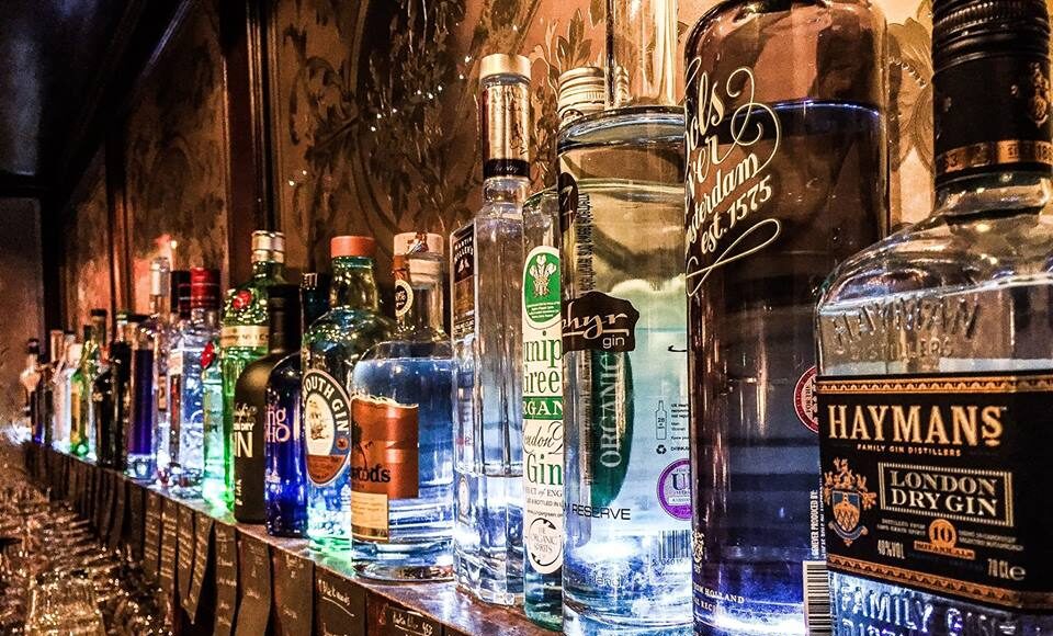 Bring On The Good Times – With Top Botanicals In Gin Bring On The Good Times With Top Botanicals In Gin