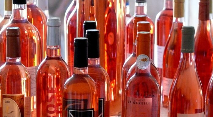 Live, Love Rose Wine Wine, Dine and Shine